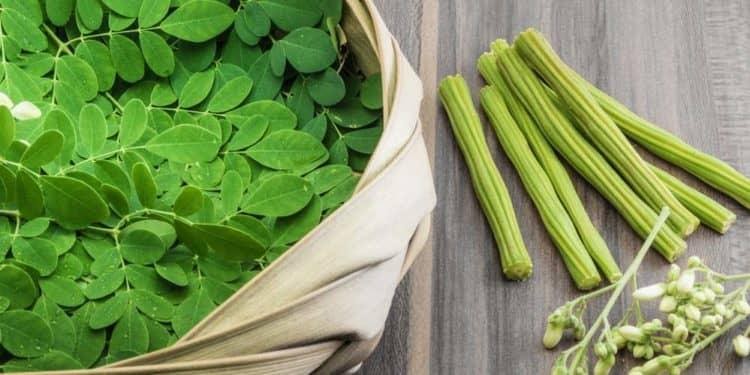 10 Health Benefits and Side Effects of Moringa