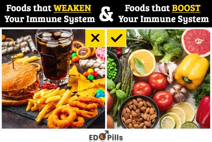 Foods For Your Immune System